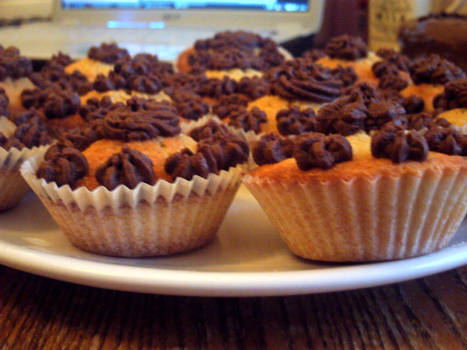 Chocolate Cupcakes