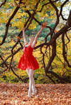 autumn - ballet by accti