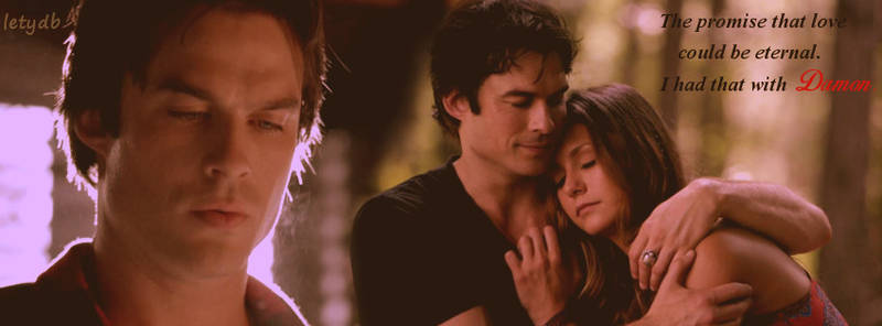 Delena 6x01 Facebook Cover