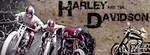 Harley and the Davidson by letydb