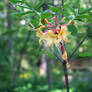 Orange Flowers 2