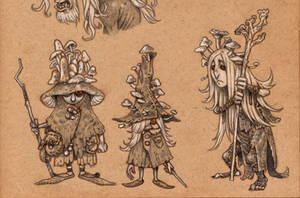 Mushroom wizards