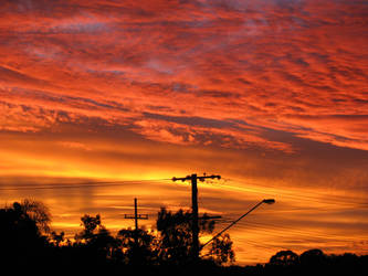 Suburban Sunset in Full Bloom2