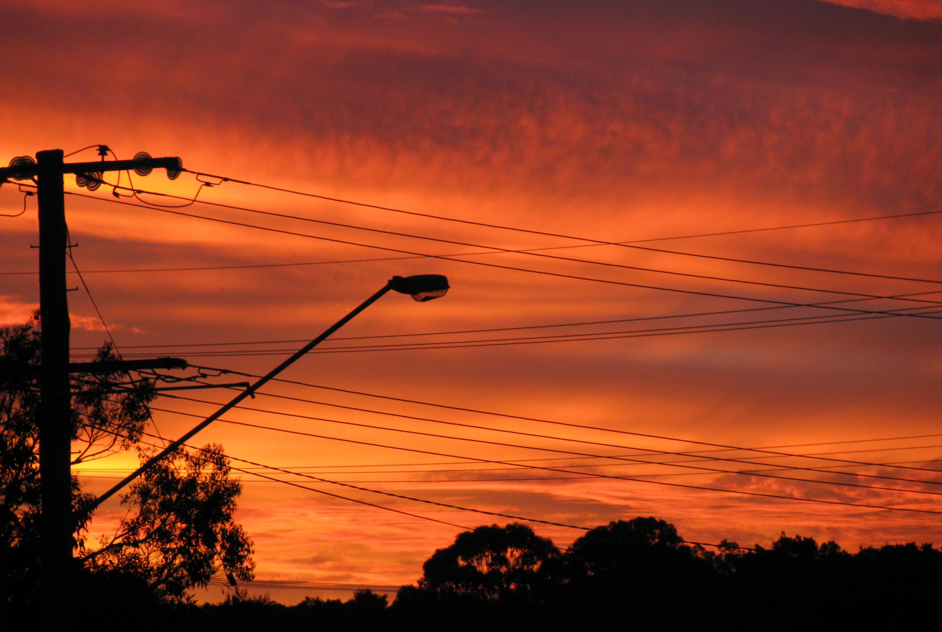 Suburban Sunset in Full Bloom4