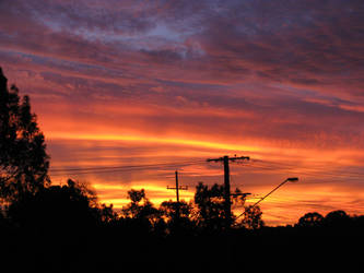 Suburban Sunset in Full Bloom6