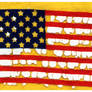Tattered Flag
