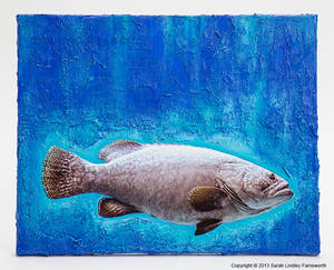 Blue Grouper