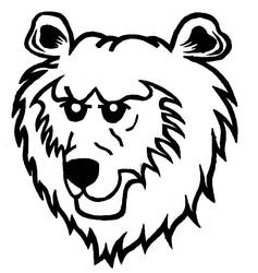 bear head vector illustration