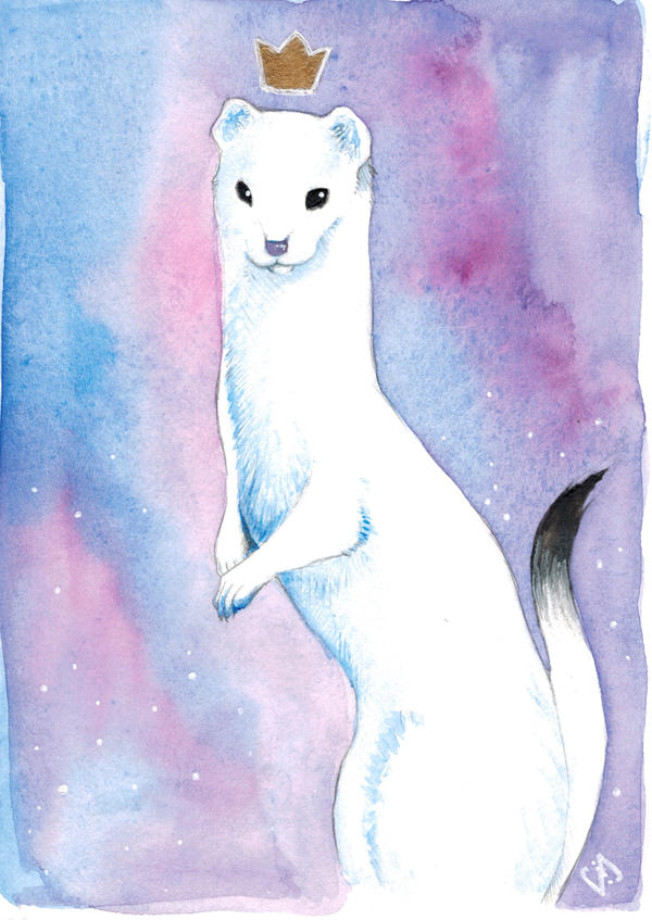 Royal Ermine by Lychnobia on DeviantArt