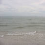 Sanibel Coast