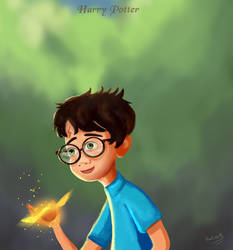 Harry Potter portrait cartoon