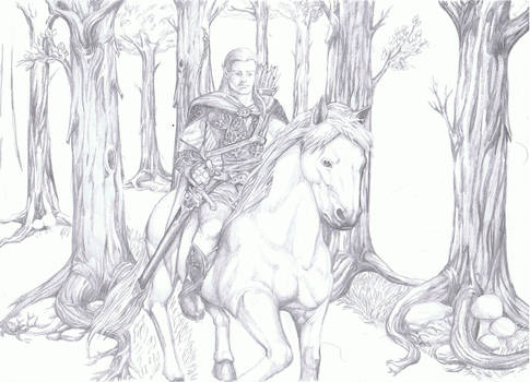 Elf Rider