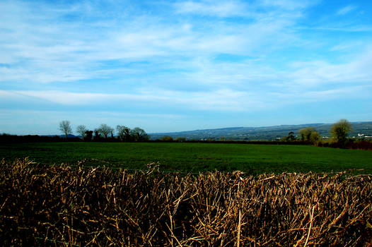 Irish country house