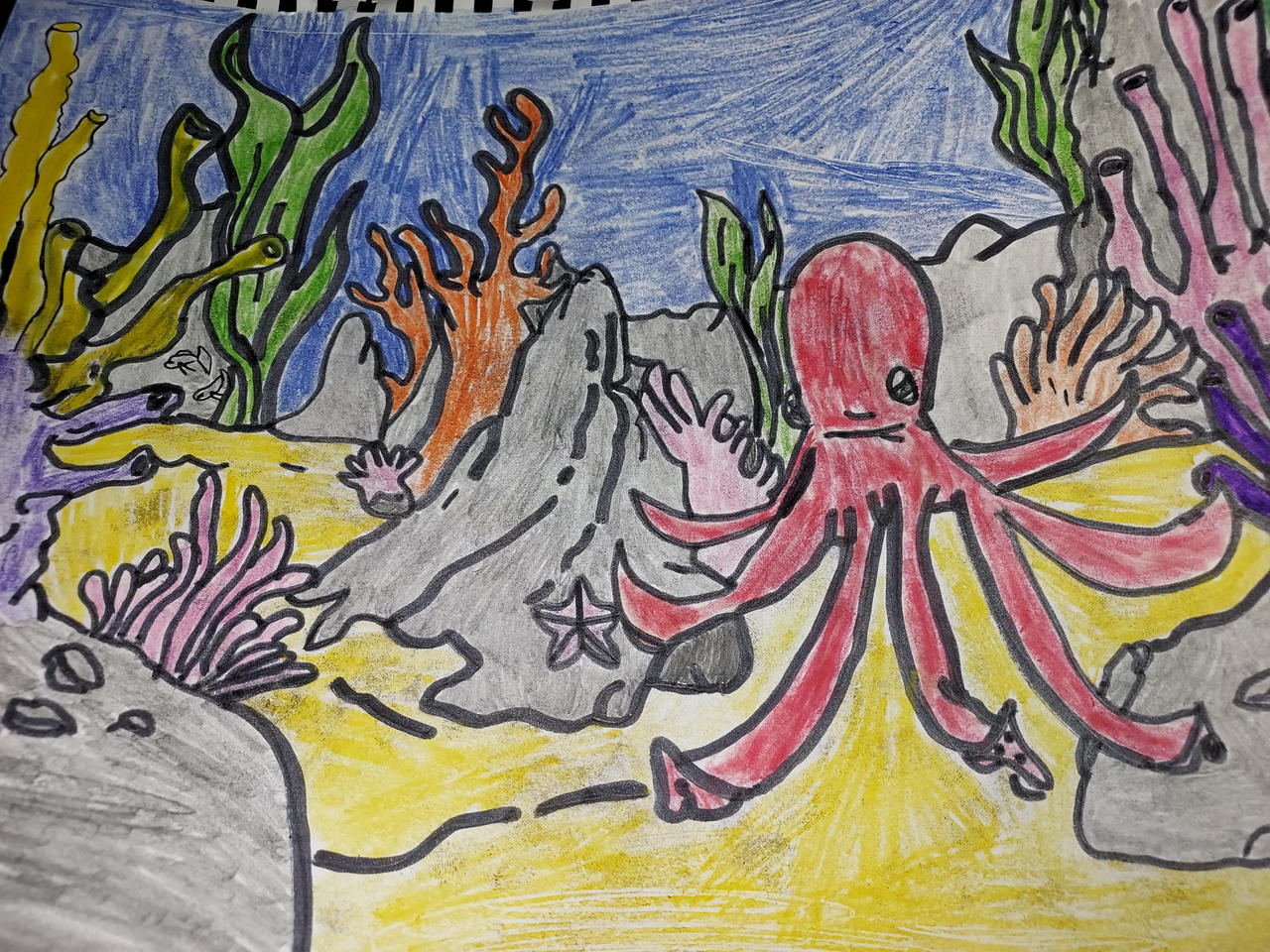 Coral Reef Drawing By Drawerofthings23 On DeviantArt Coral reef drawing by drawerofthings23 on deviantart