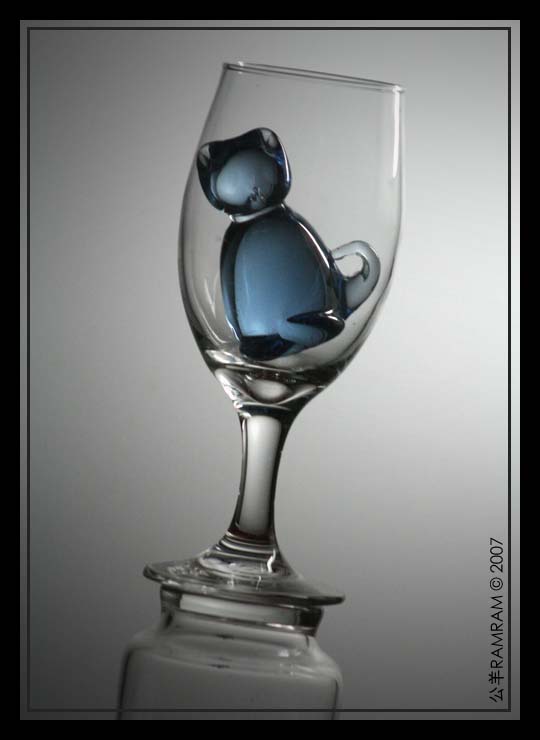 the glassed blue cat