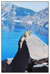 Crater Lake Lookout