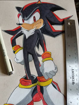 Shadow the Hedgehog