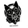 Skull cat