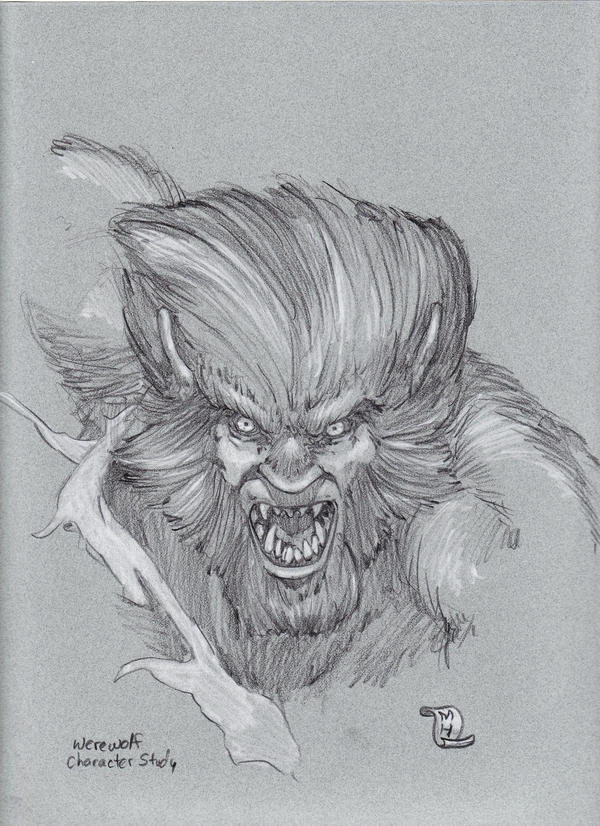 Werewolf study by mhelwig on DeviantArt