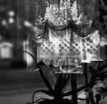 Double Exposure by SilentDistractions