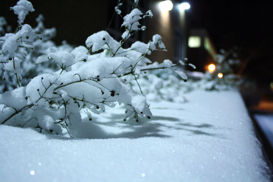 Snowy Night III