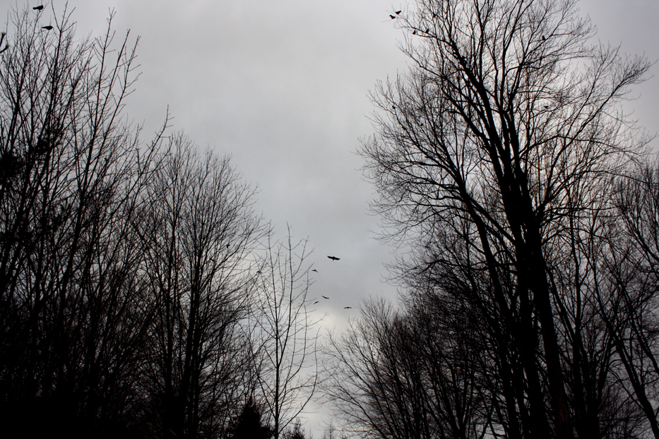 Crows II