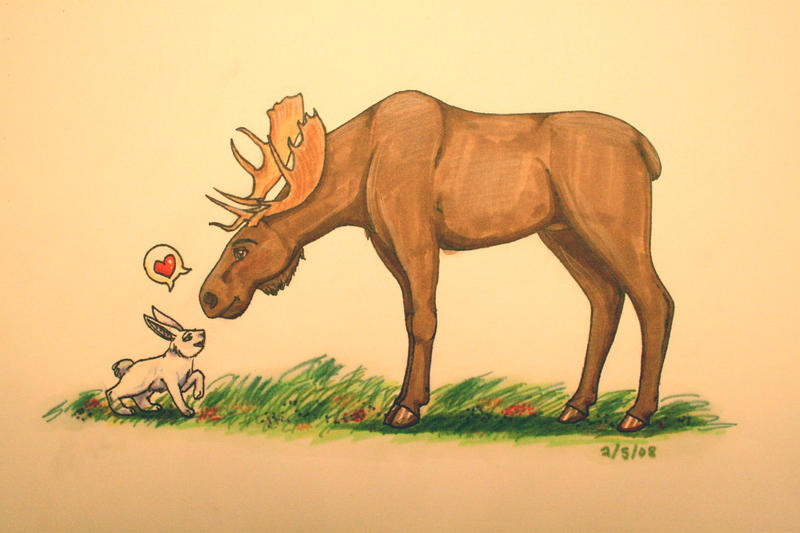 Moose Riding A Rabbit Rabbit and Moose by Ambius on DeviantArt