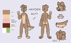 hayden ref 2019