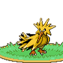 Zapdos Roost