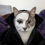 Kitty of the Opera
