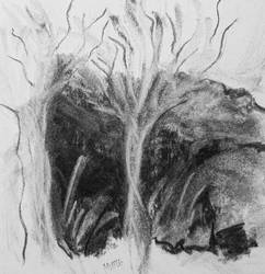 Fairy trees