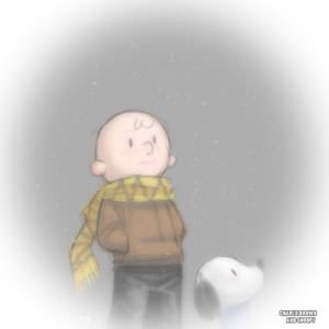 Charlie Brown and Snoopy stuff