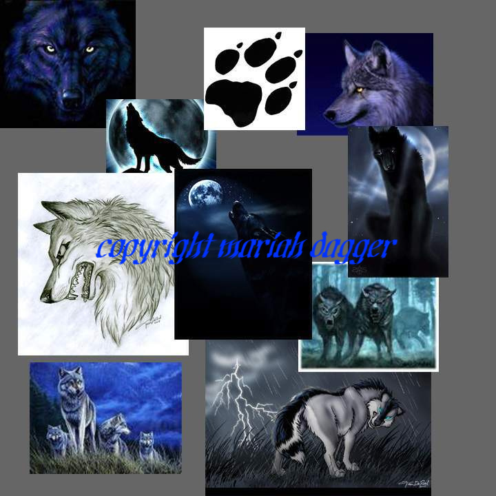 Dark Wolf Backround_Skin