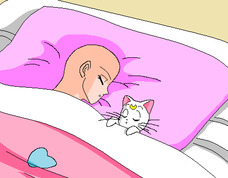 Sailor moon Girl and her cat sleeping base
