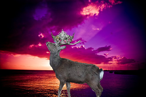 Queen Deer