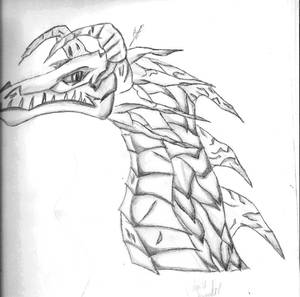 Dragon sideview