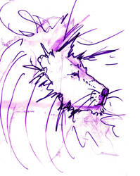 Purple Lion