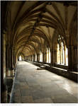 The Cloisters by In-the-picture