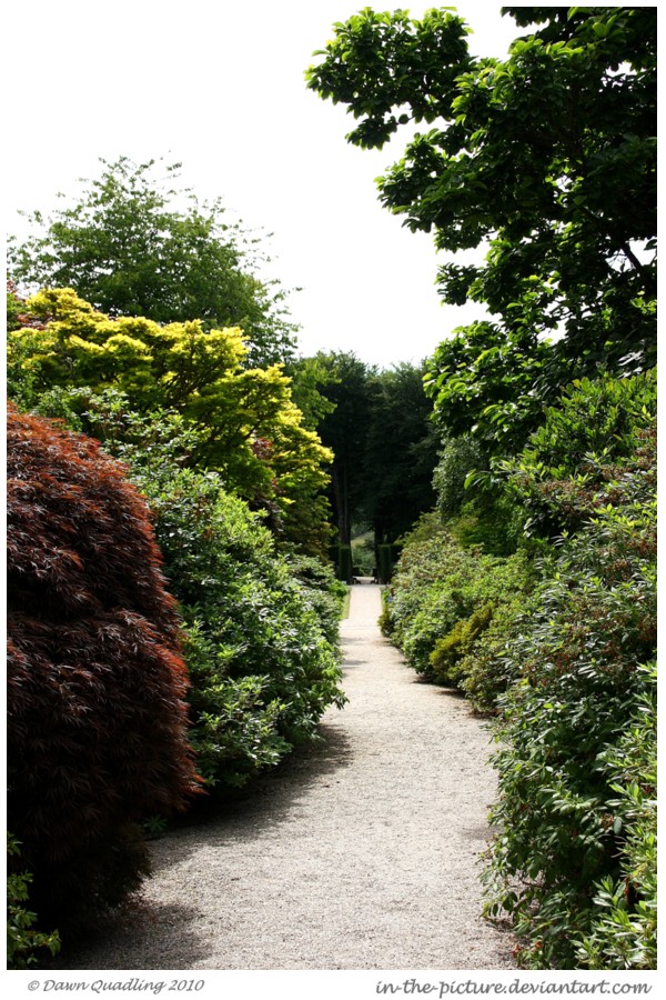 Along the Garden Path