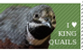 I love King Quails Stamp