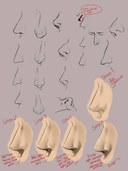 Nose tutorial SAI