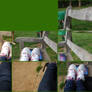 Pondering on a bench