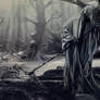 Bone Yard
