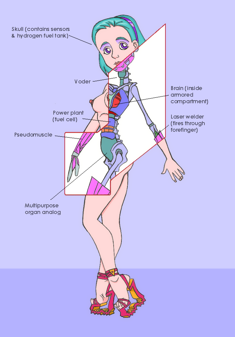 Android Vs Body Shape Android anatomy by amiwakawaiidesu on DeviantArt