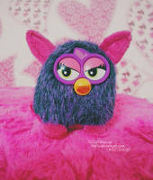 Furby