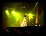 .VdM - Within Temptation. by DeadlyWitch