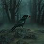 Raven of Darkness