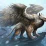 Griffon