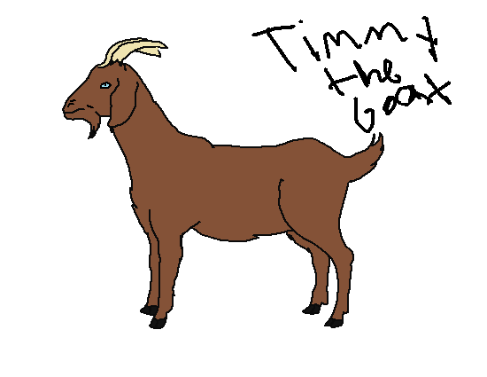 Timmy the goat