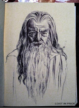 Gandalf the Grey